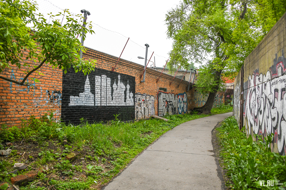 Фото змеинка владивосток в ч 11675