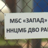 Крабовый роддом – морская биологическая станция Национального научного центра морской биологии — newsvl.ru