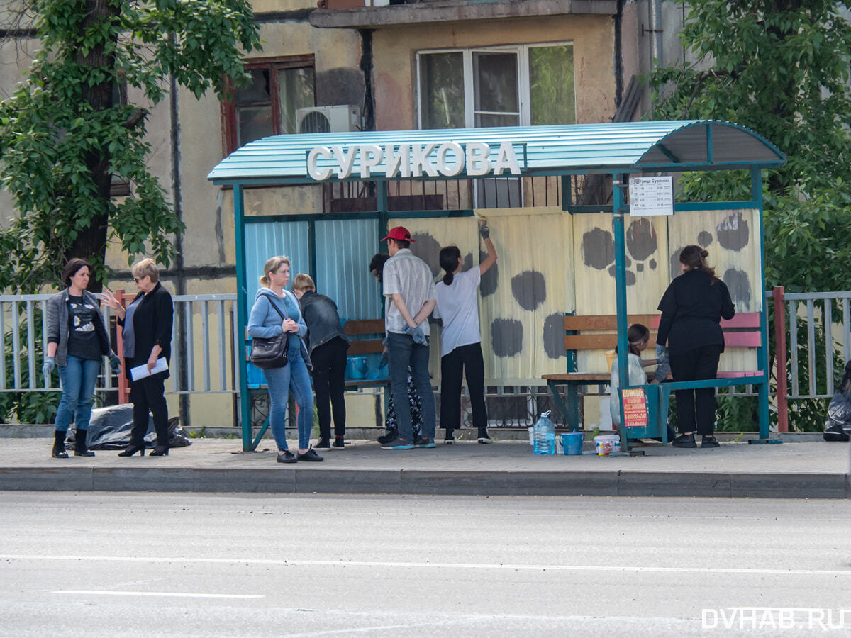 Школьники превратили в красочную галерею остановки в Южном (ФОТО;ВИДЕО) —  Новости Хабаровска