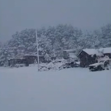 Видео с июньским снегом в «Тернеском районе» было снято в Томске