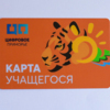 Ученики Уссурийска получат карты с изображением тигра — newsvl.ru