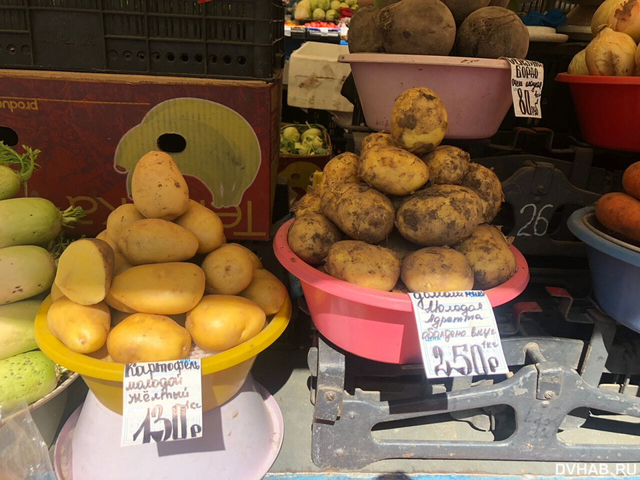 Килограмм картошки стоит 40 рублей. Картошка на рынке. На рынке. Килограмм картошки. Центральный рынок.