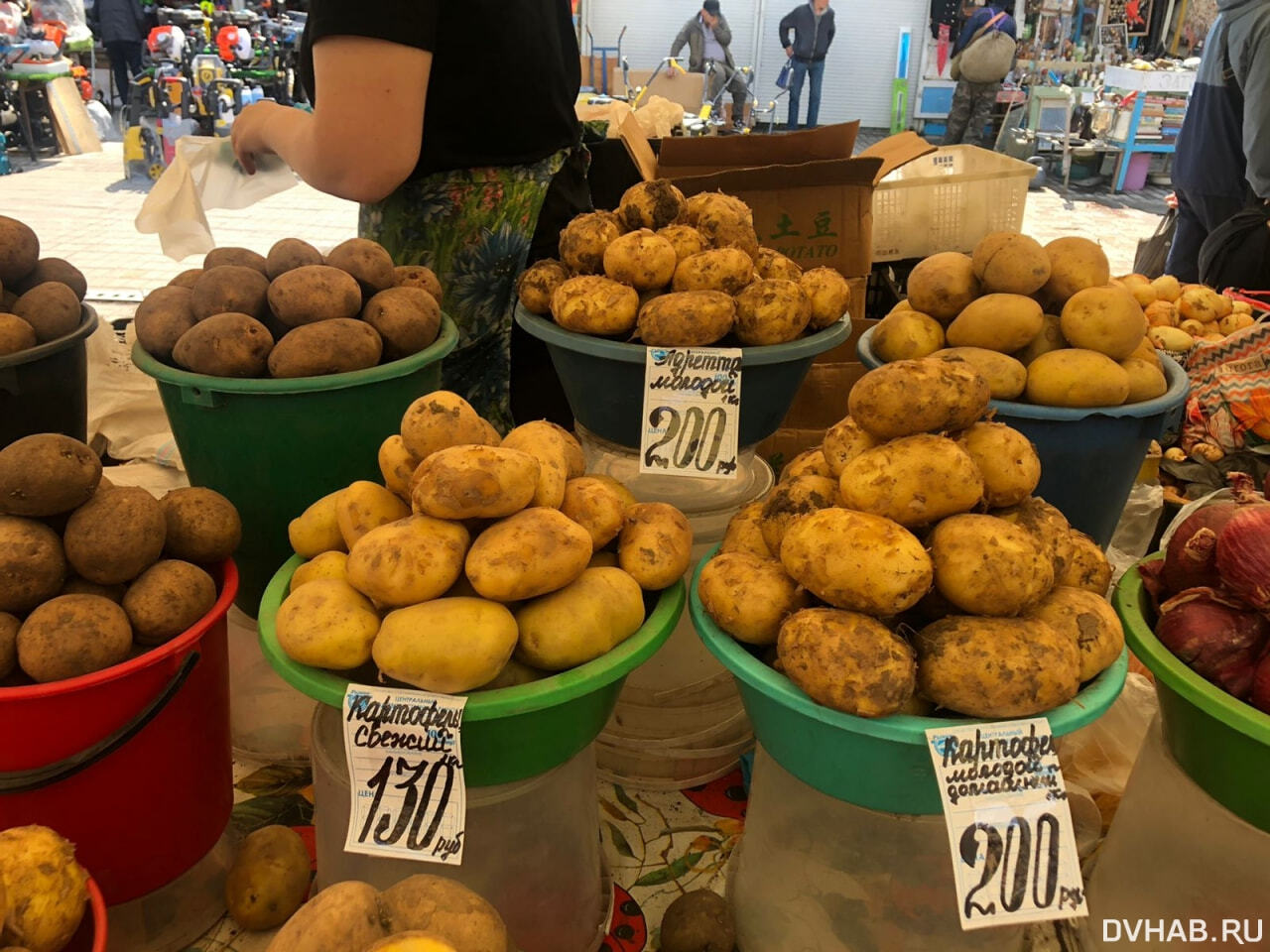 Килограмм картошки стоит 40 рублей. Картошка на рынке. Сколько стоит картошка. Сколько стоит килограмм картошки. Бабуля на рынке с картошкой.