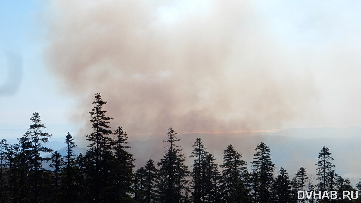Четыре лесных пожара тушат в Хабаровском крае