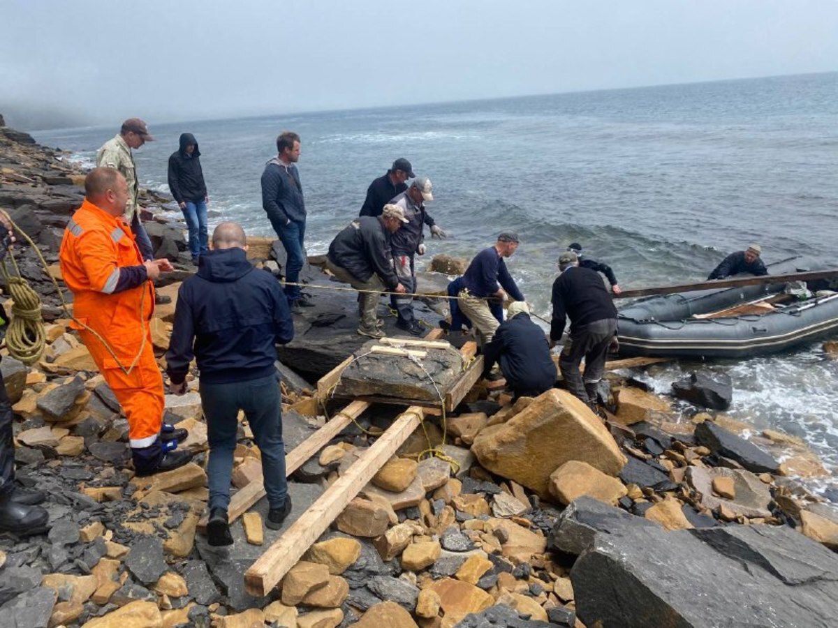 Два фрагмента скелета ихтиозавра нашли во Владивостоке на Русском острове –  Новости Владивостока на VL.ru