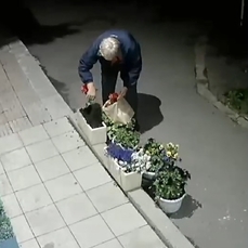 Пожилая женщина под камерой наблюдения похитила горшки с цветами около кафе на Инструментальном заводе 