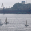 Яхты проходят напротив мыса Астафьева — newsvl.ru