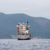 Как сообщили в Морспасслужбе, судно стоит без топлива — newsvl.ru