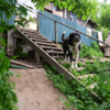 Хотя официально дом расселили 12 лет назад, фотограф VL.ru убедился, что и сегодня в доме кто-то живёт — newsvl.ru