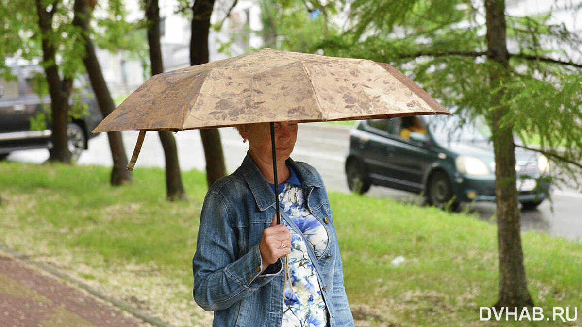Прогноз погоды в Хабаровском крае на пятницу, 24 июня