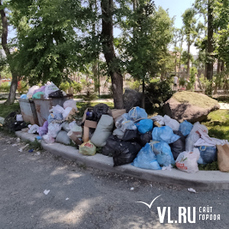 Площадка ТБО в Нагорном парке оказалась переполнена из-за ошибки водителя мусоровоза (ФОТО)