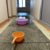 В коридоре общежития на Державина капает с потолка — newsvl.ru