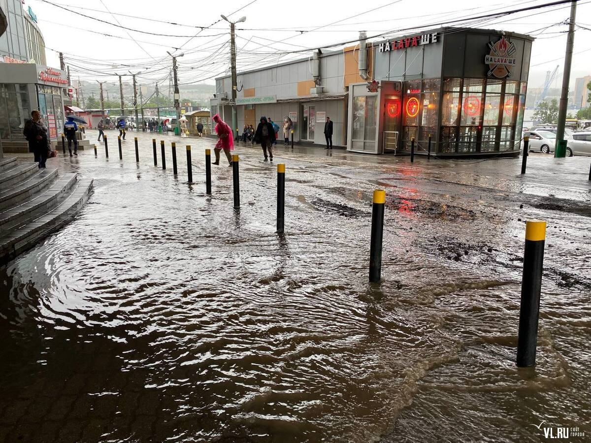 Подтопление дунай в ленобласти. Затопленные половодьем луга. Луговое затапливает. Луговое затапливает. Автономная канализация затопило.