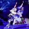 После церемонии награждения участников началось яркое цирковое шоу   — newsvl.ru