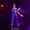 Начинающие цирковые артисты из Арсеньева показали мастерство жонглирования на лестнице без опоры — newsvl.ru
