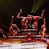 Цирковые школы тщательно продумали и костюмы участников конкурса — newsvl.ru