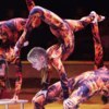 Приморские акробаты показали на арене «огненное шоу» — newsvl.ru