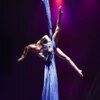 Воздушная гимнастка из Хабаровска бесстрашно взмыла под купол цирка — newsvl.ru