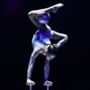 Цирковые акробаты поражали гибкостью тела — newsvl.ru