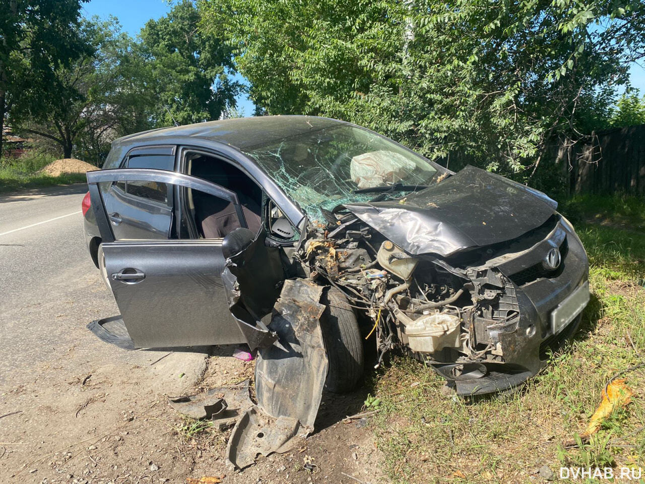 Напугал: начинающая автомобилистка въехала в дерево на Красной Речке (ФОТО)  — Новости Хабаровска