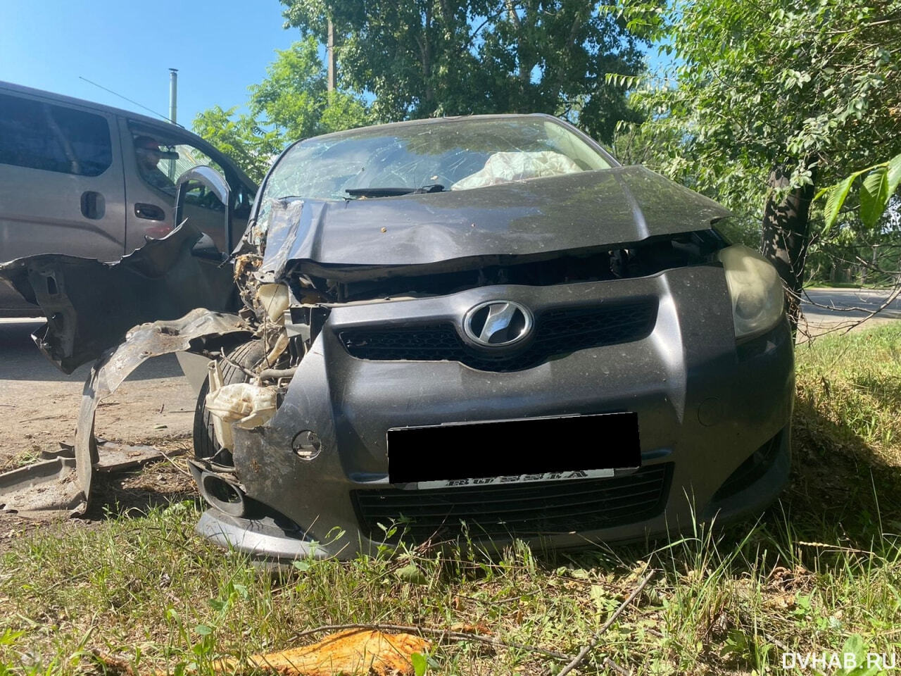 Напугал: начинающая автомобилистка въехала в дерево на Красной Речке (ФОТО)  — Новости Хабаровска