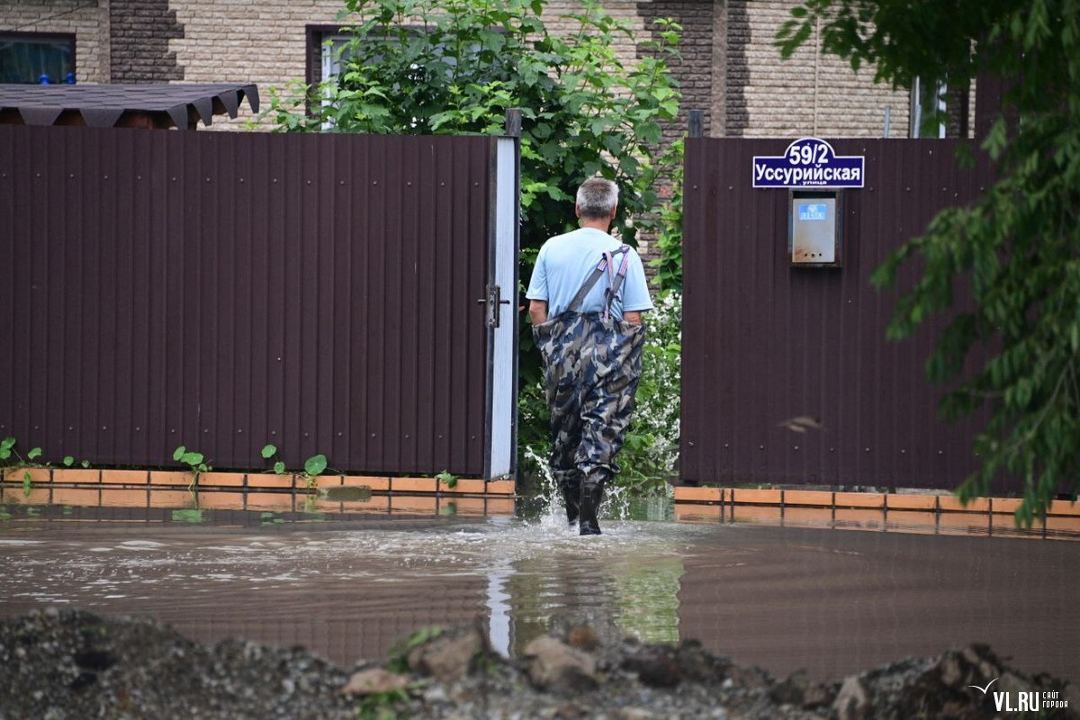 В Михайловском районе затопило дворы частных домов и огороды – Новости  Владивостока на VL.ru