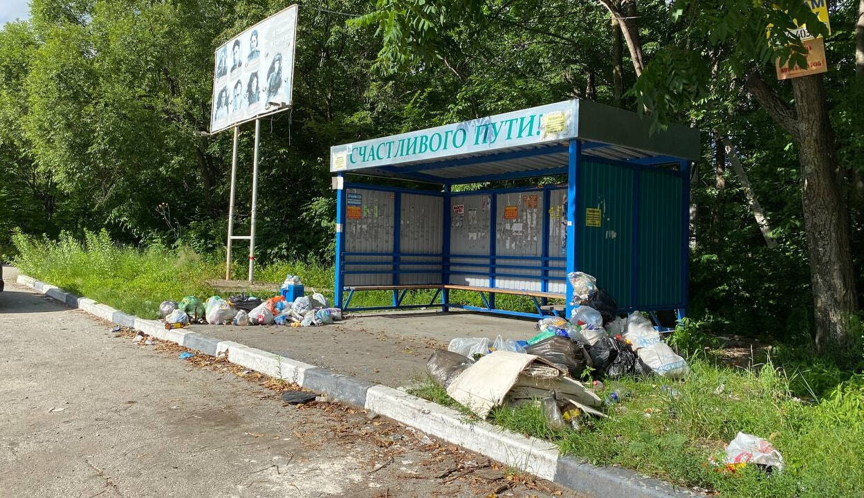 Тонет в отходах: дачники закидали мусором территорию вблизи заповедника  (ФОТО; ВИДЕО) — Новости Хабаровска