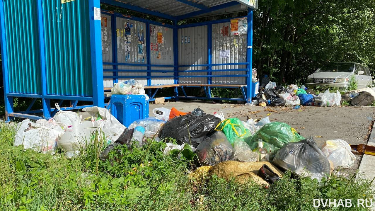 Тонет в отходах: дачники закидали мусором территорию вблизи заповедника  (ФОТО; ВИДЕО) — Новости Хабаровска