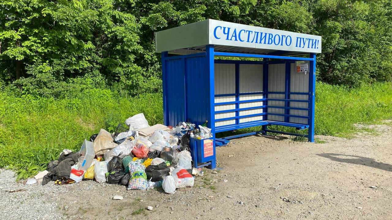 Тонет в отходах: дачники закидали мусором территорию вблизи заповедника  (ФОТО; ВИДЕО) — Новости Хабаровска