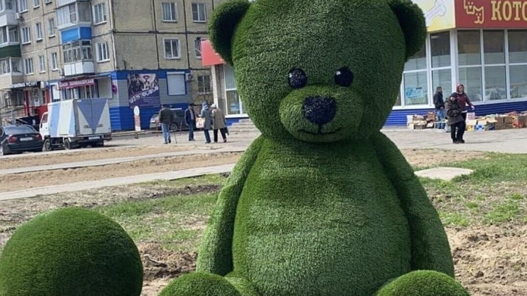 Медведь ул шилова 1 фото