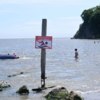 Отдыхающие купаются в море, несмотря на запрещающие таблички — newsvl.ru