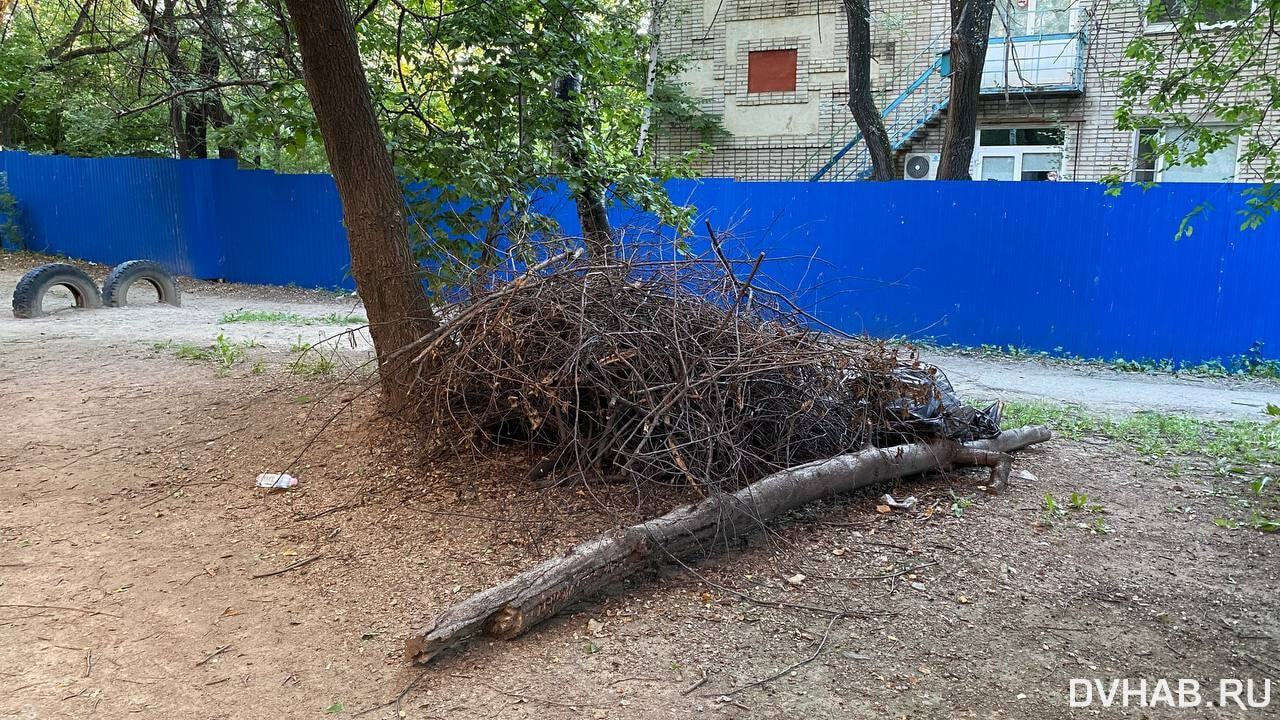 Сеновал на улицах: город тонет в сухой траве (ФОТО) — Новости Хабаровска