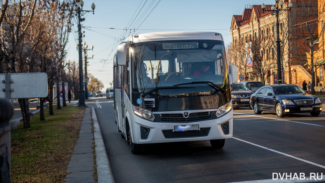 Дыры в законе позволили перевозчику не обслуживать хабаровский маршрут —  Новости Хабаровска