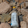 Частицы таких бутылок губят жизни морских обитателей — newsvl.ru