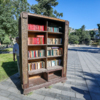 Создатели книжного шкафа теперь думают, что, вероятно, объект придётся убирать навсегда — newsvl.ru