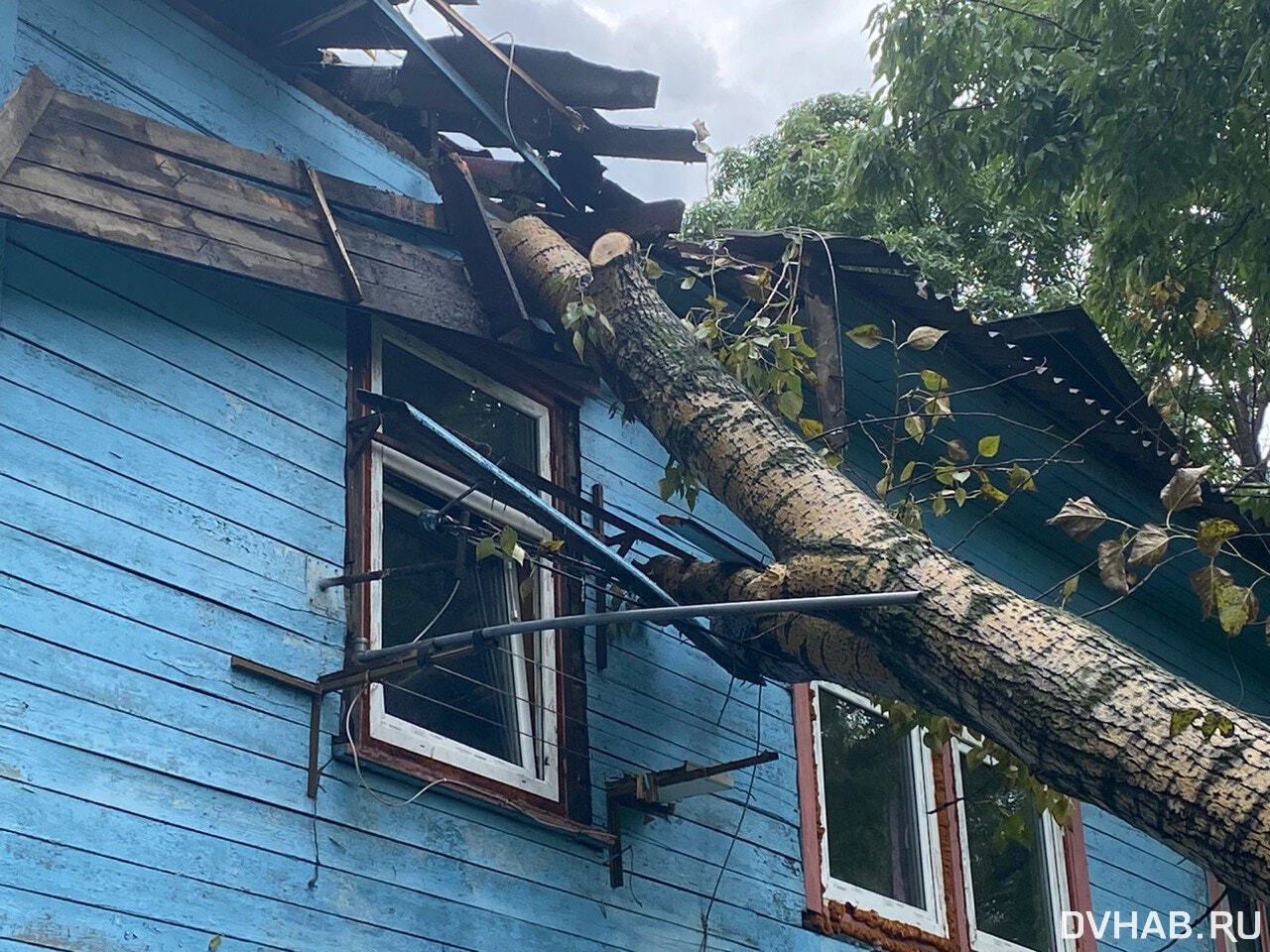 Снесло крышу: тополь повредил барак на Выборгской (ФОТО) — Новости  Хабаровска