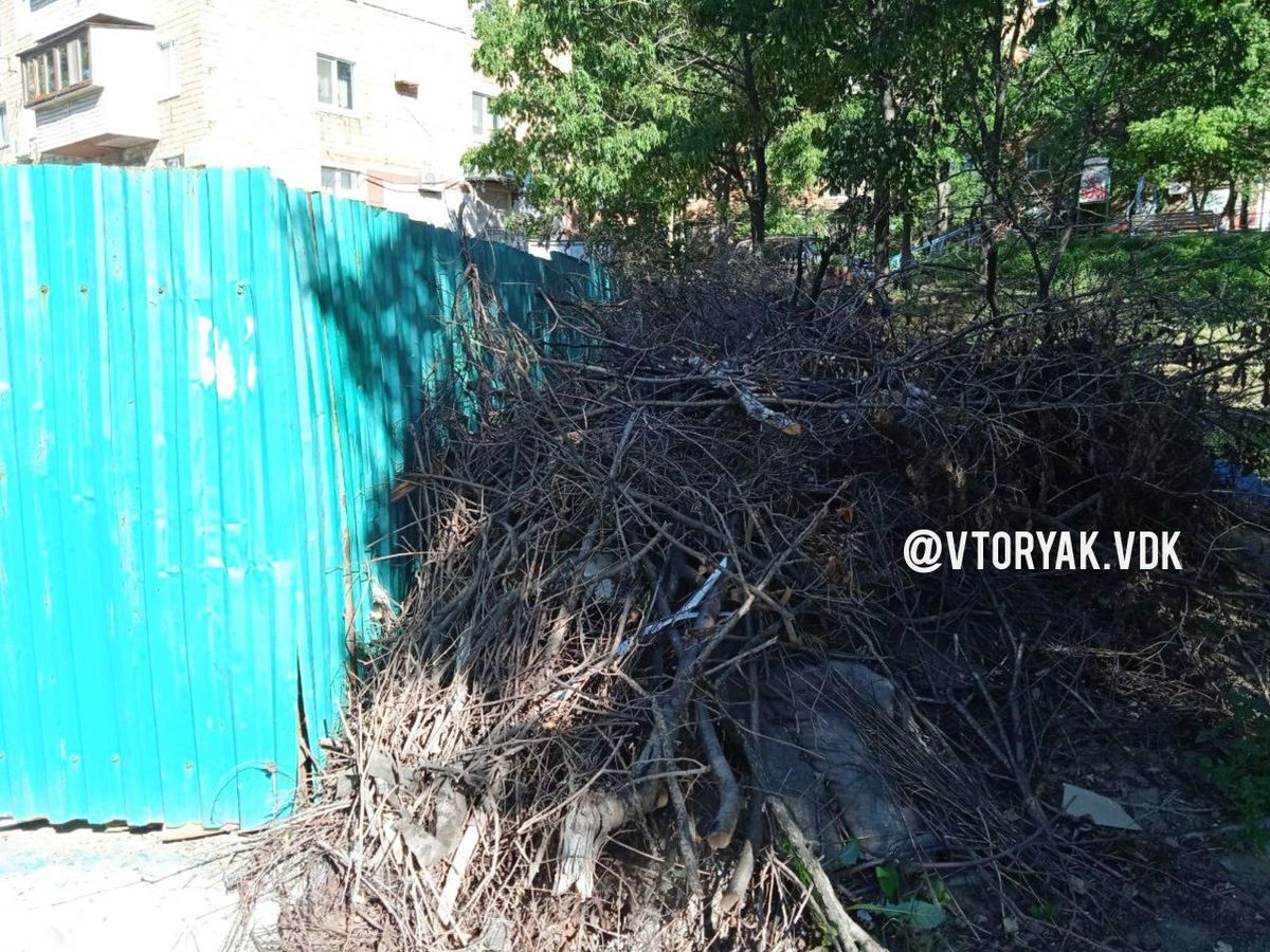 Жители Владивостока жалуются на кучи веток во дворах из-за закрытия  временного полигона – его запускали после ледяного дождя – Новости  Владивостока на VL.ru