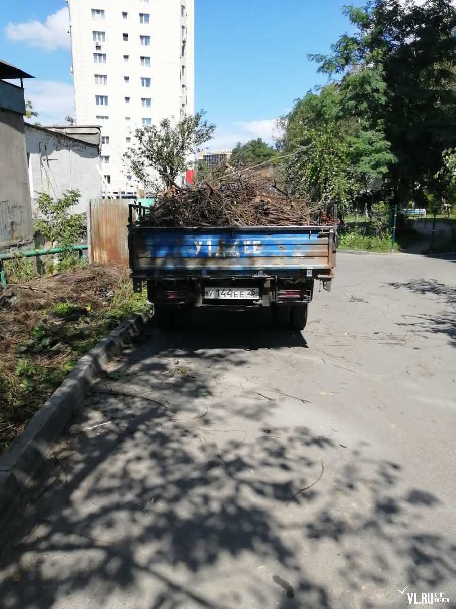 Жители Владивостока жалуются на кучи веток во дворах из-за закрытия  временного полигона – его запускали после ледяного дождя – Новости  Владивостока на VL.ru