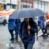 Сегодня во Владивостоке дождь