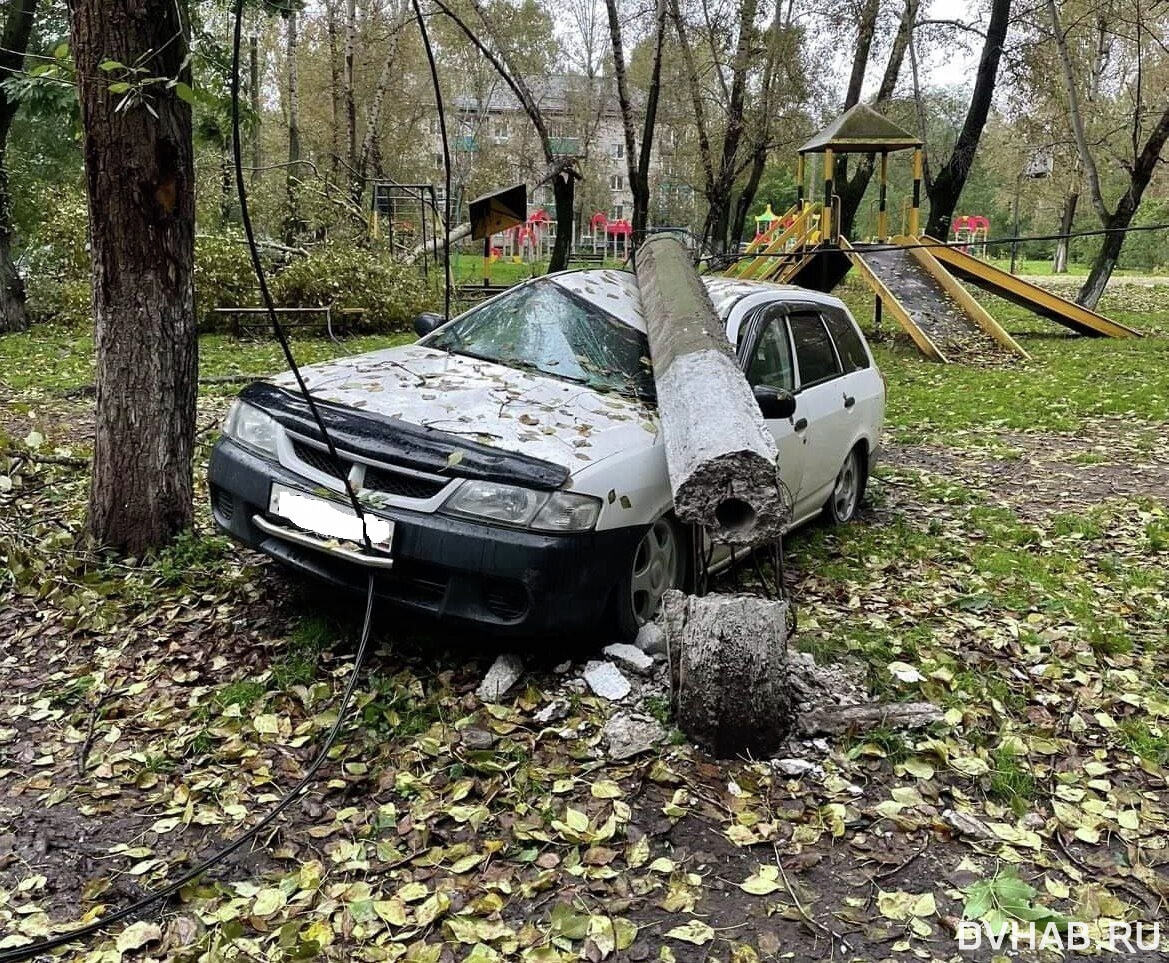 Ураган валит деревья и столбы в Комсомольске-на-Амуре (ФОТО) — Новости  Хабаровска