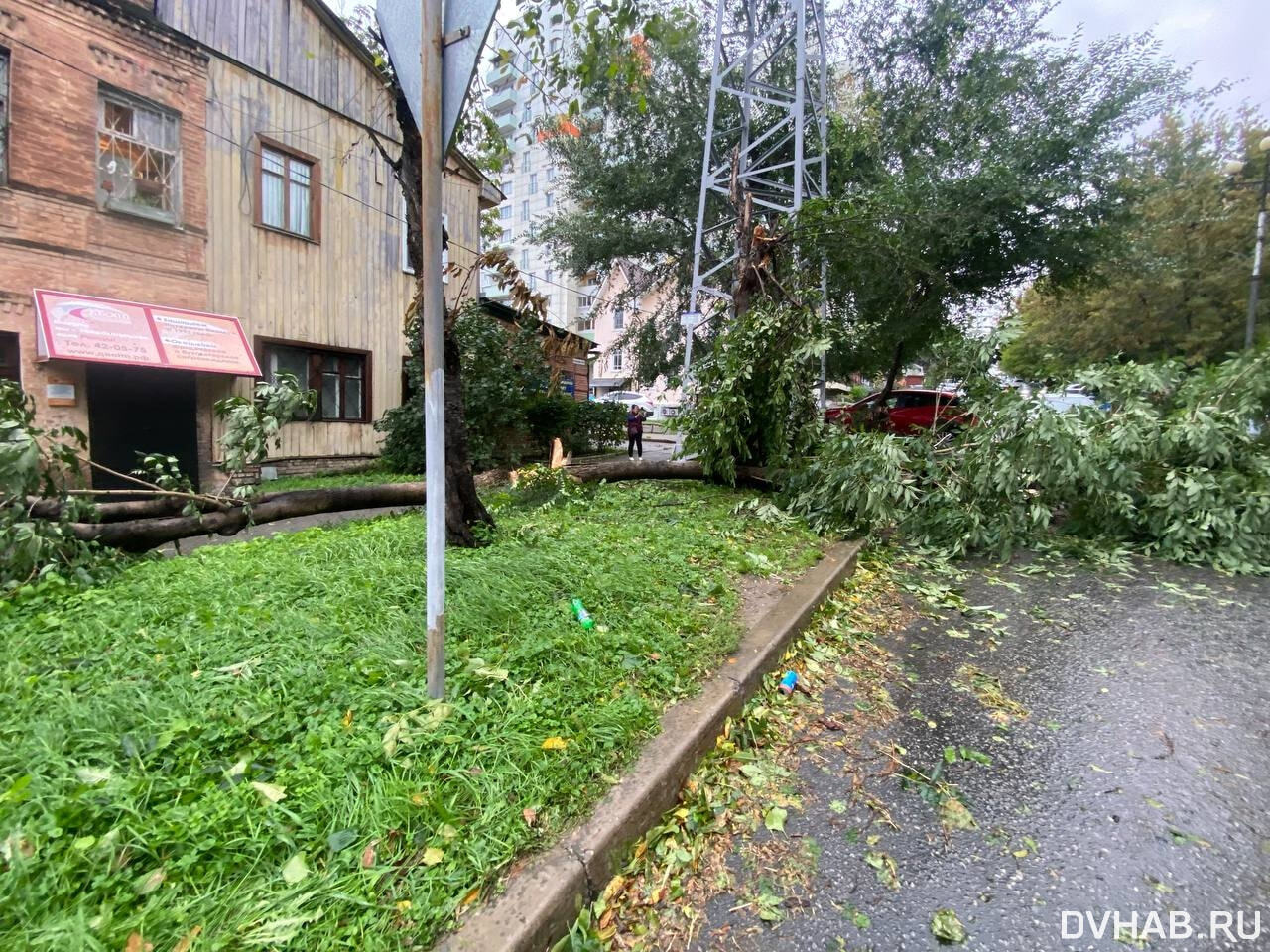 Штормовой ветер сносит деревья и коммуникации в Хабаровске (ФОТО;  ОБНОВЛЕНИЕ) — Новости Хабаровска