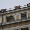 Под крышей самоорганизовался сад из полыни — newsvl.ru