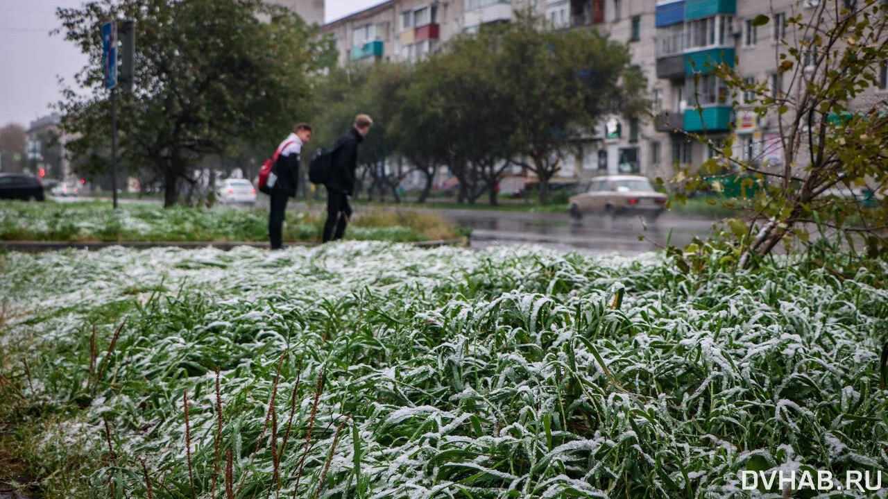 Хабаровске выпал снег. Снегопад в городе. Снег в городе. Первый снег. Снег фото.
