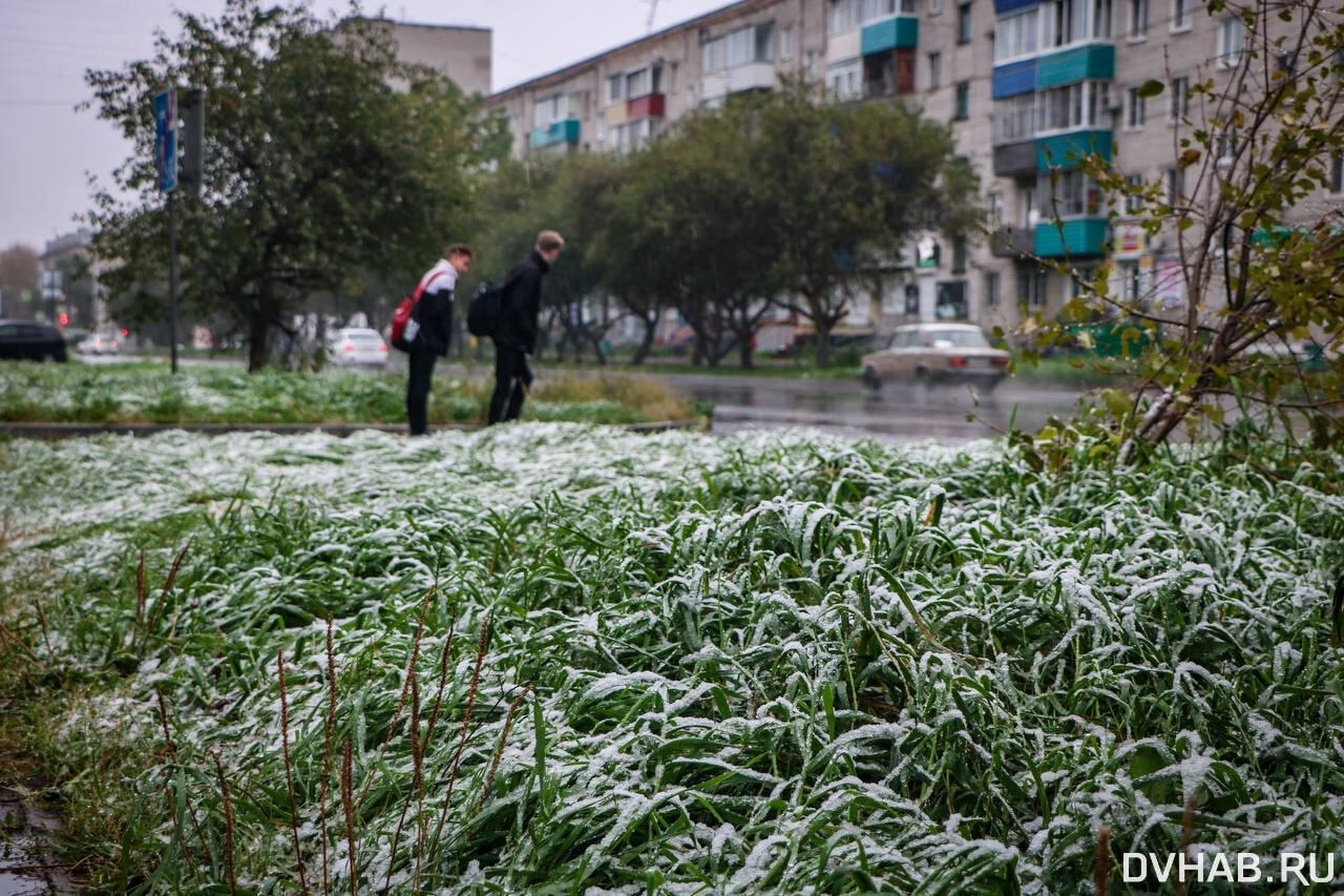 Прогнозы на сегодня комсомольск на амуре. Снегопад в городе. Снег в городе. Первый снег. Снег фото.