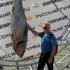 Горожане фотографировались с гигантской рыбиной — newsvl.ru