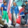 Самый большой тунец – более 30 кг — newsvl.ru
