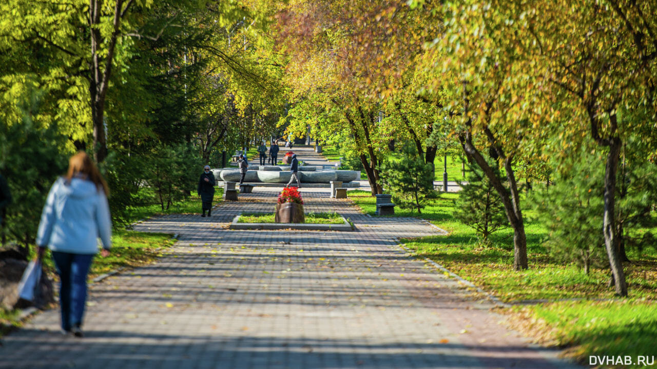 Хабаровск погода летом. Мост Хабаровск закат.