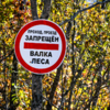 Арендаторы запретили вход в лес — newsvl.ru