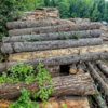 Вместо природного парка, который обещал губернатор, идёт уничтожение леса — newsvl.ru