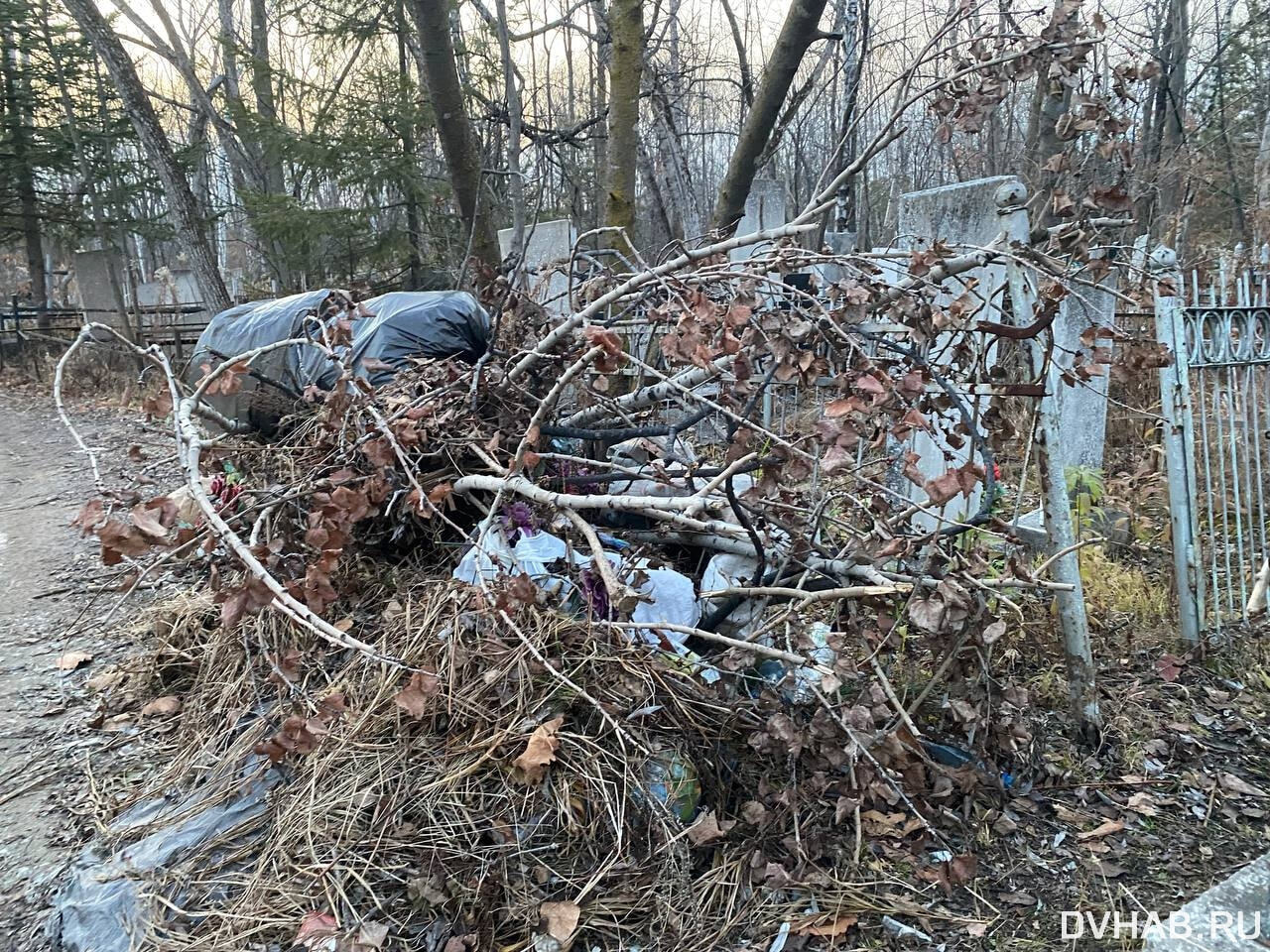 И здесь свалка: в мусоре погрязли могилы на центральном кладбище (ФОТО;  ВИДЕО) — Новости Хабаровска